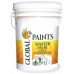 Global Paints